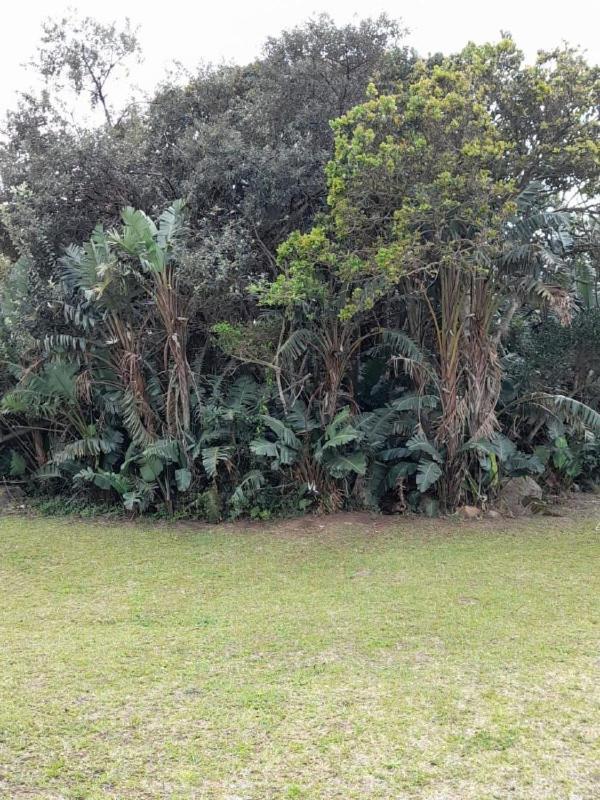ポート・エドワード19 Montego Bay Caribbean Estateアパートメント エクステリア 写真